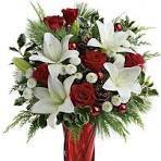 Christmas Lilies