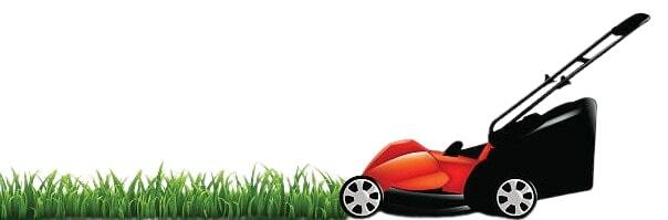 Fresh Cut Grass